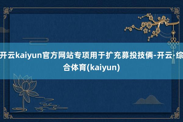 开云kaiyun官方网站专项用于扩充募投技俩-开云·综合体育(kaiyun)