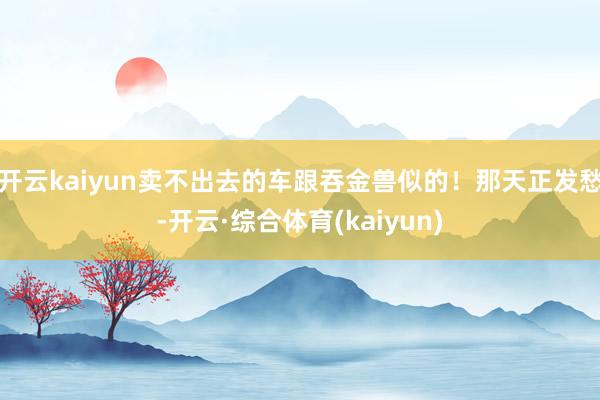 开云kaiyun卖不出去的车跟吞金兽似的！那天正发愁-开云·综合体育(kaiyun)