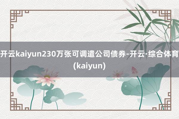 开云kaiyun230万张可调遣公司债券-开云·综合体育(kaiyun)