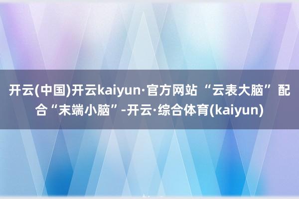 开云(中国)开云kaiyun·官方网站 “云表大脑” 配合“末端小脑”-开云·综合体育(kaiyun)